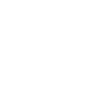 felis design realizzazione siti